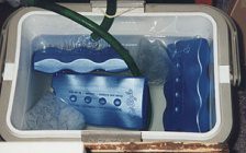 K�hlbecken mit Wasserf�llung